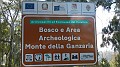DSCN4227