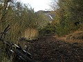 DSCN1715