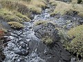 DSCN1742