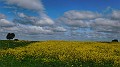 DSCN0846-01