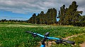 DSCN0850-01