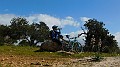 DSCN0853