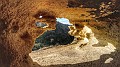 G1781486_1610112956565-01