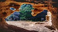 P_20210107_104705-01