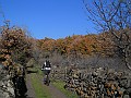 DSCN3266