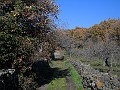 DSCN3267