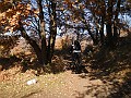 DSCN3271