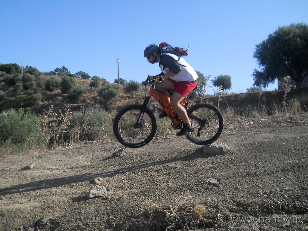 DSCN1343.JPG -           