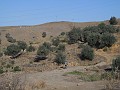 DSCN1342