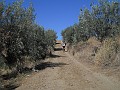 DSCN1359