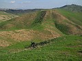 DSCN3056