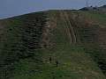 DSCN3065
