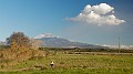 DSCN2619