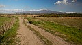 DSCN2639