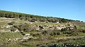 DSCN0223