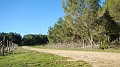 DSCN0224