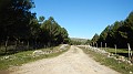 DSCN0225