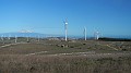 DSCN0229