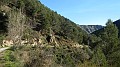 DSCN0234