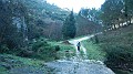 DSCN0237