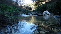 DSCN0242