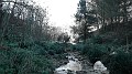 DSCN0248