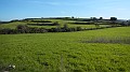 DSCN0276