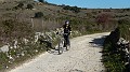 DSCN0277