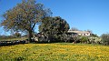 DSCN0279