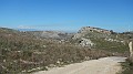 DSCN0284