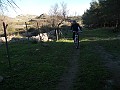 DSCN8841