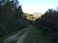 DSCN8842
