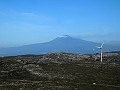 DSCN8856