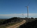 DSCN8859