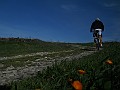DSCN8875