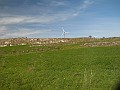 DSCN8878