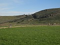 DSCN8884