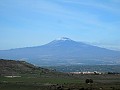 DSCN8904