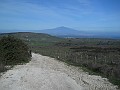 DSCN8905
