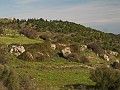 DSCN8909
