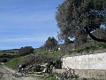 DSCN8910