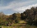 DSCN8927
