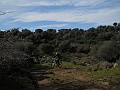 DSCN8929