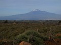 DSCN8956