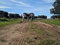 DSCN8966