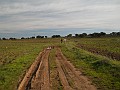 DSCN8967