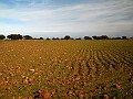 DSCN8968