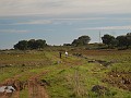 DSCN8969