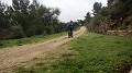DSCN4181