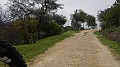 DSCN4182